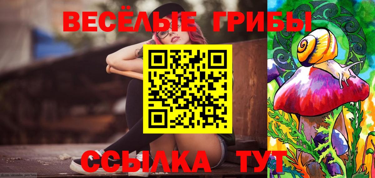 Славгород  Псилоцибиновые грибы ЛСД  Вход с VPN  хочу наркоту  Галлюциногенные грибы ЛСД 